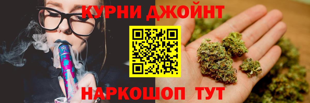 Бошки Шишки план Кольчугино